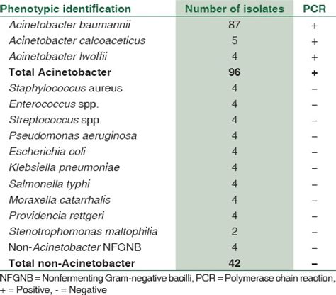 acinetobacter spp biochemical test|Identification of genus Acinetobacter: Standardization of in.